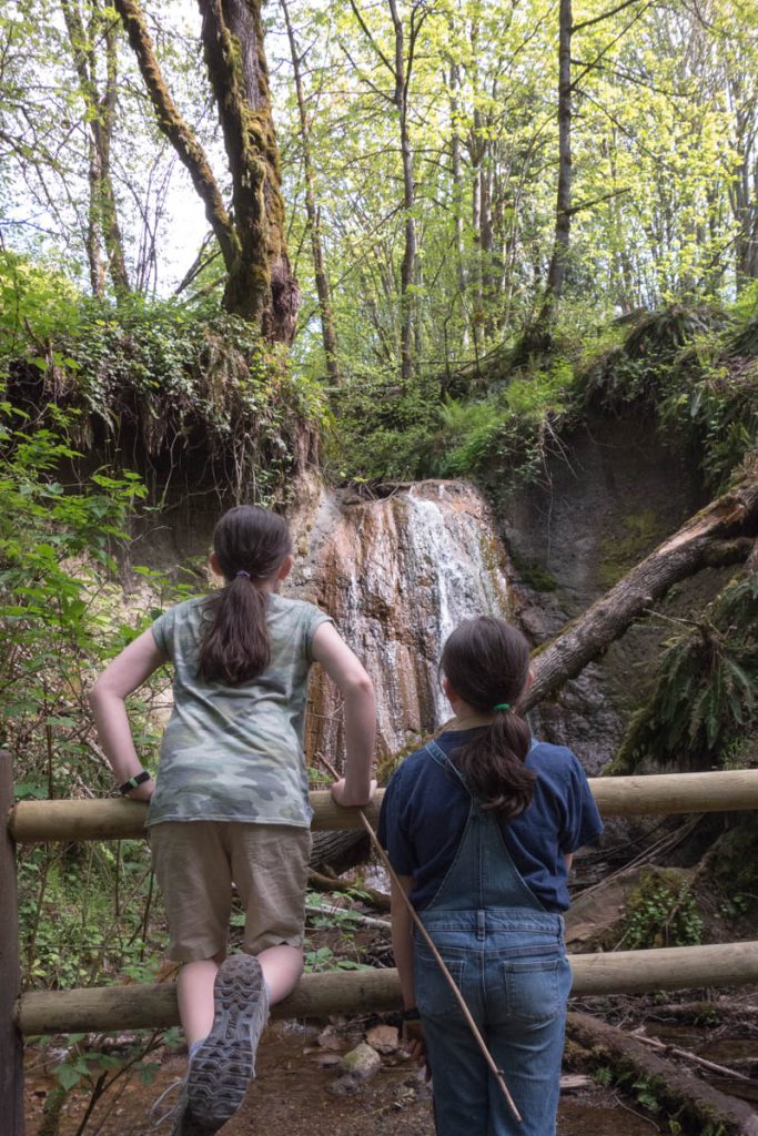 A Waterfall on the Hike